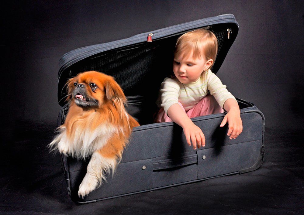 Photograph by Ринат Валиев