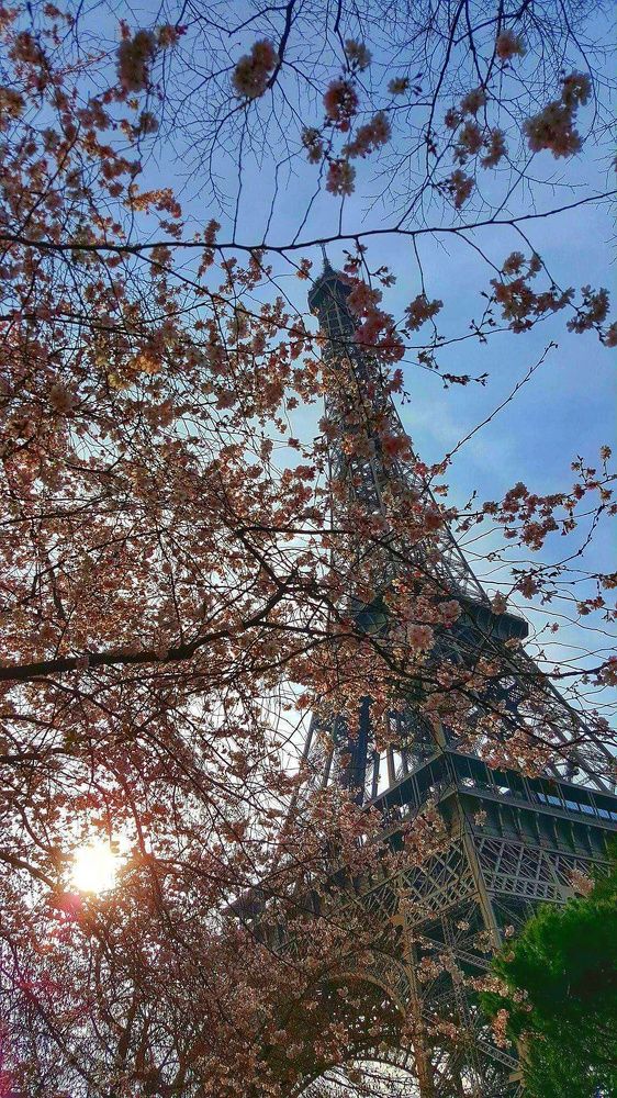 a spring of Eiffel