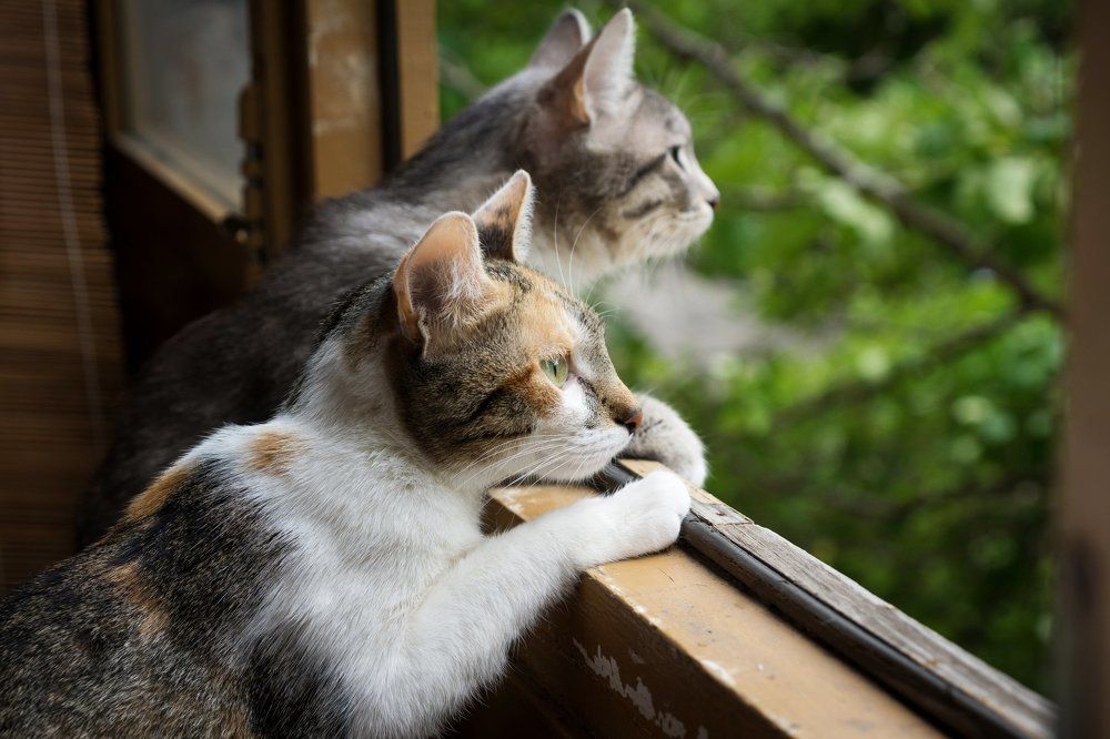 Photograph by Мазина Ольга