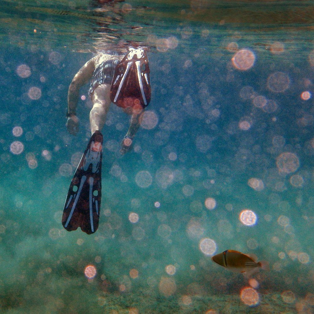 - Догони меня!..