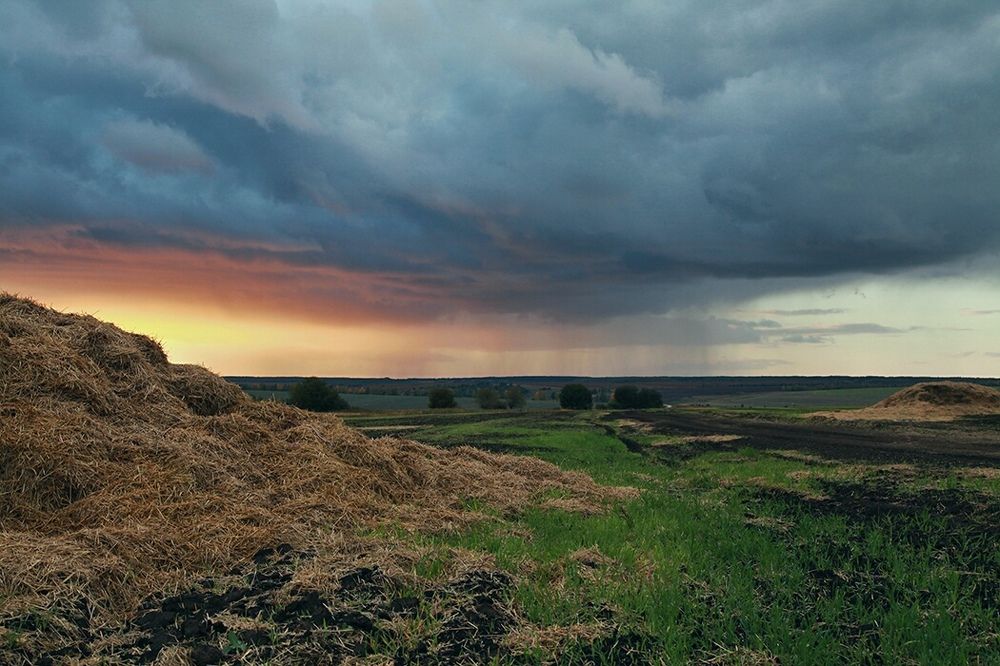 Перед дождём