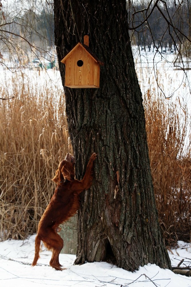 Фотография автора natalia parvan