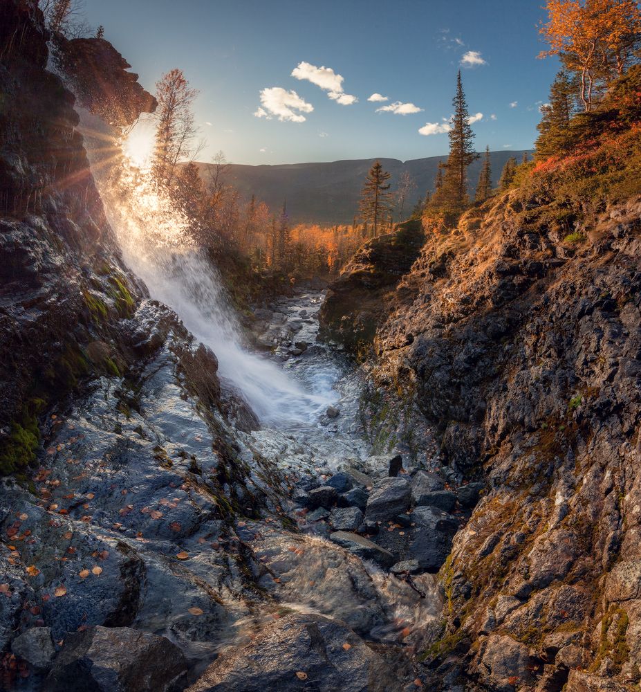 В лучах солнца
