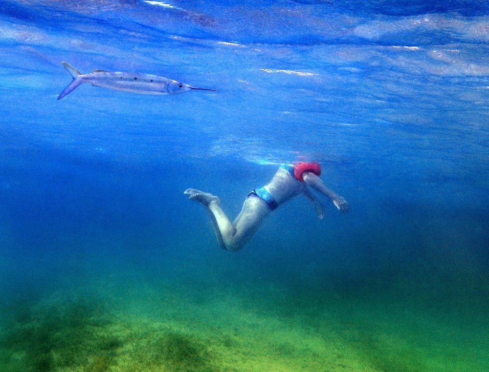 Попутным курсом. 2.