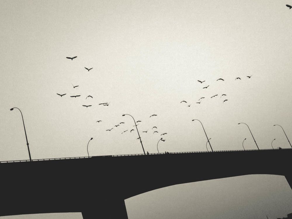 Freedom