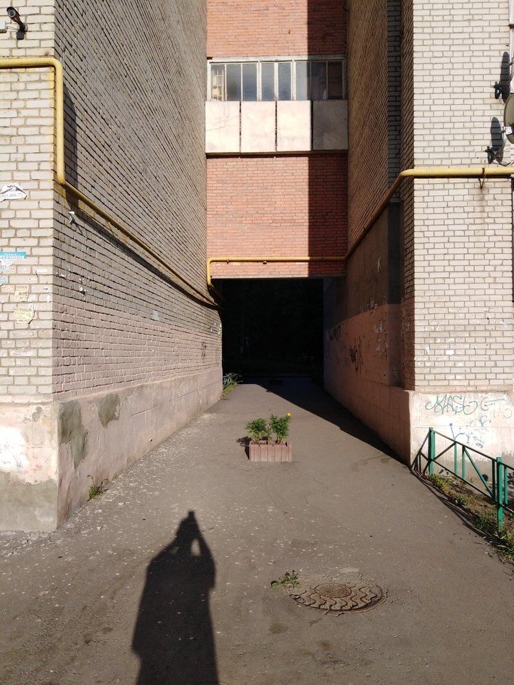 Photo #2571294