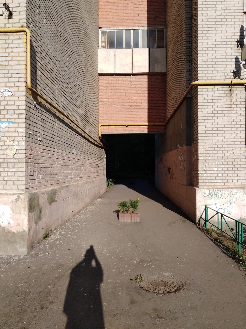 Photo #2571294
