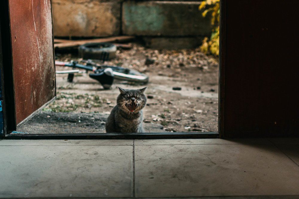 Photograph by Надежда Раскина