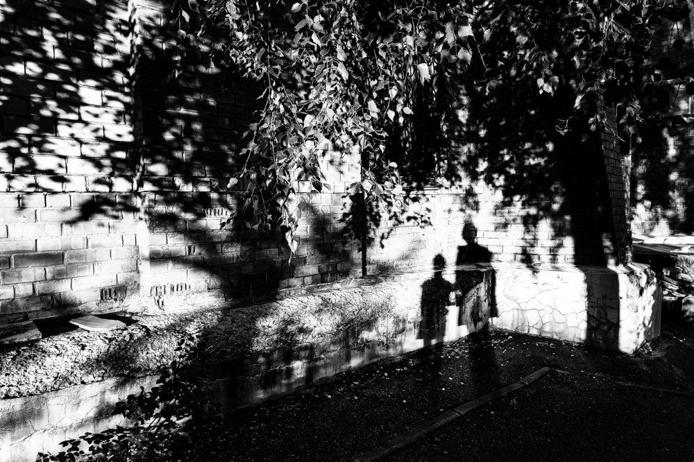 Тени друг друга