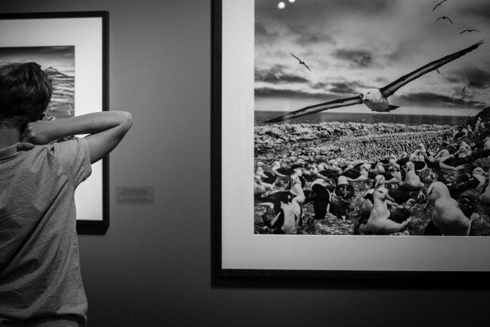 Наблюдение