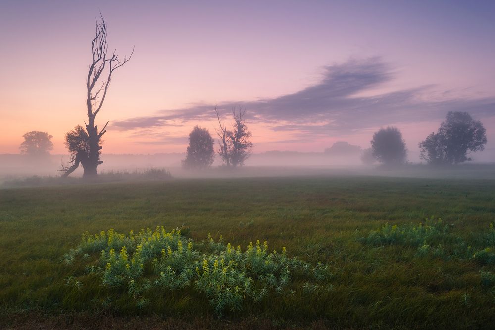 В ожидании солнца