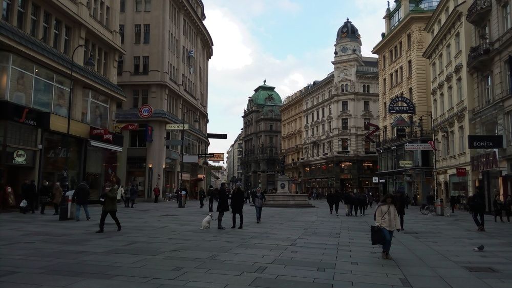 Венские будни.