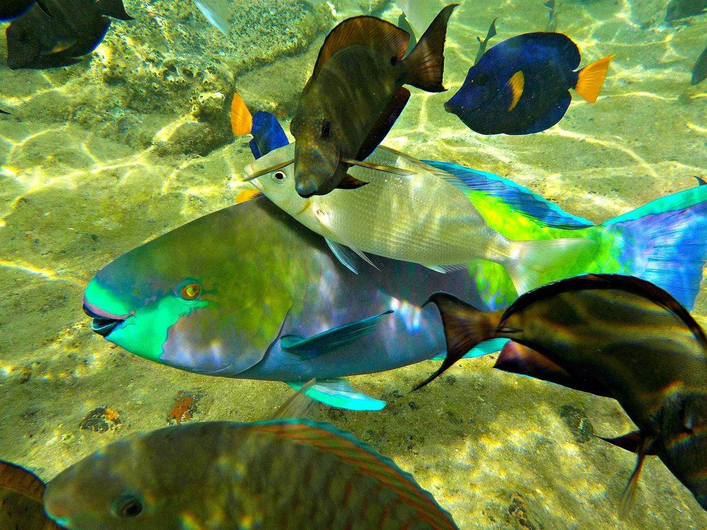 Photograph by Kandubasha