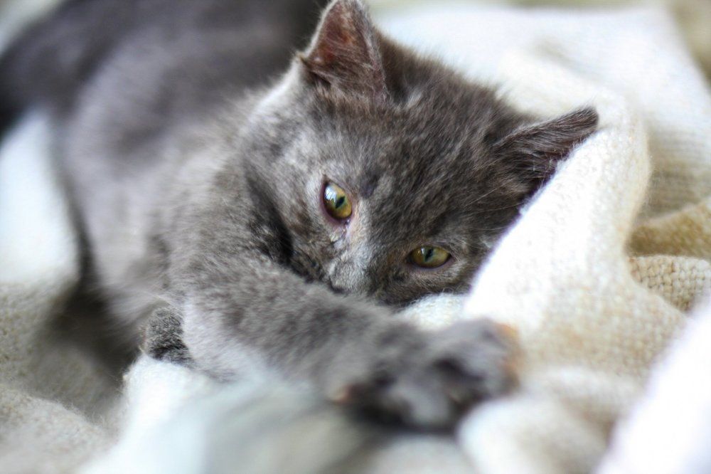 Photograph by Liza Kadochnikova