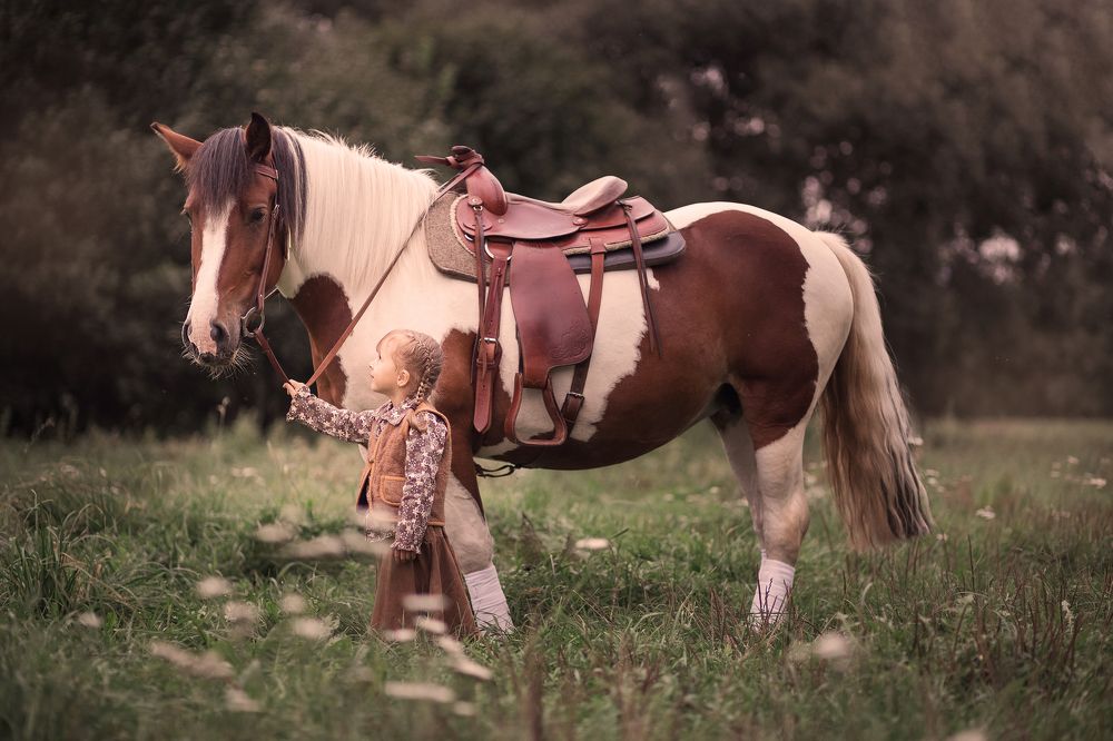 Давай дружить