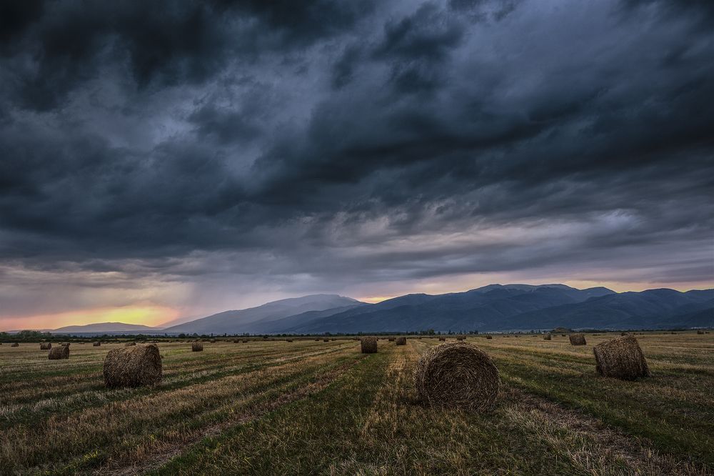 With a scent of rain