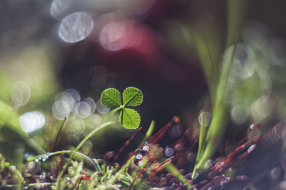 Photograph by Ксения Орлова