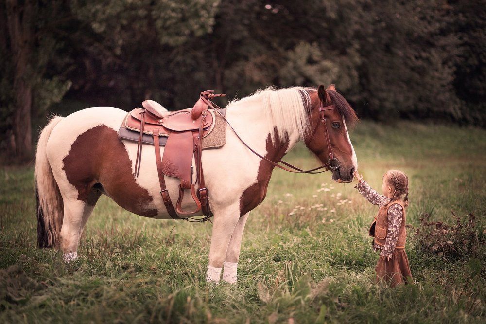 Мой милый друг