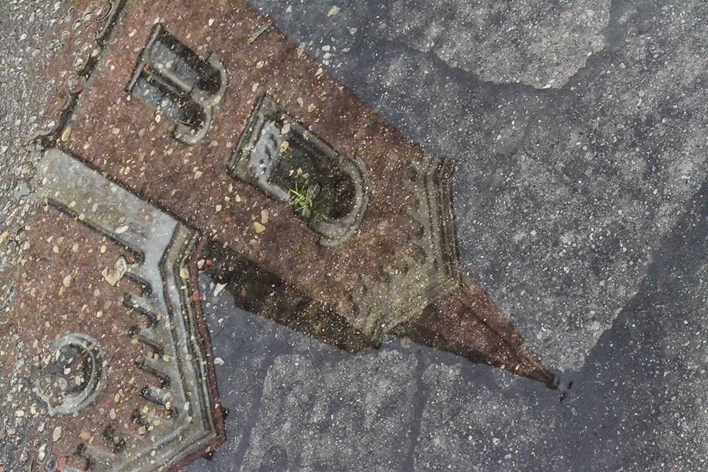 Отражение в луже. - Reflection in a puddle.