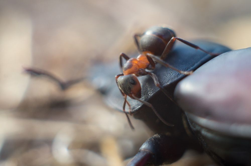 Photograph by Gabriel Wolf