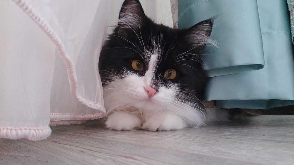 Здравствуйте