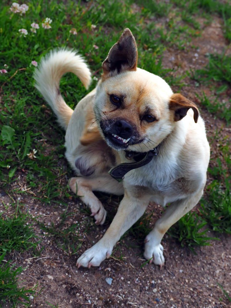 Внешность бывает обманчива