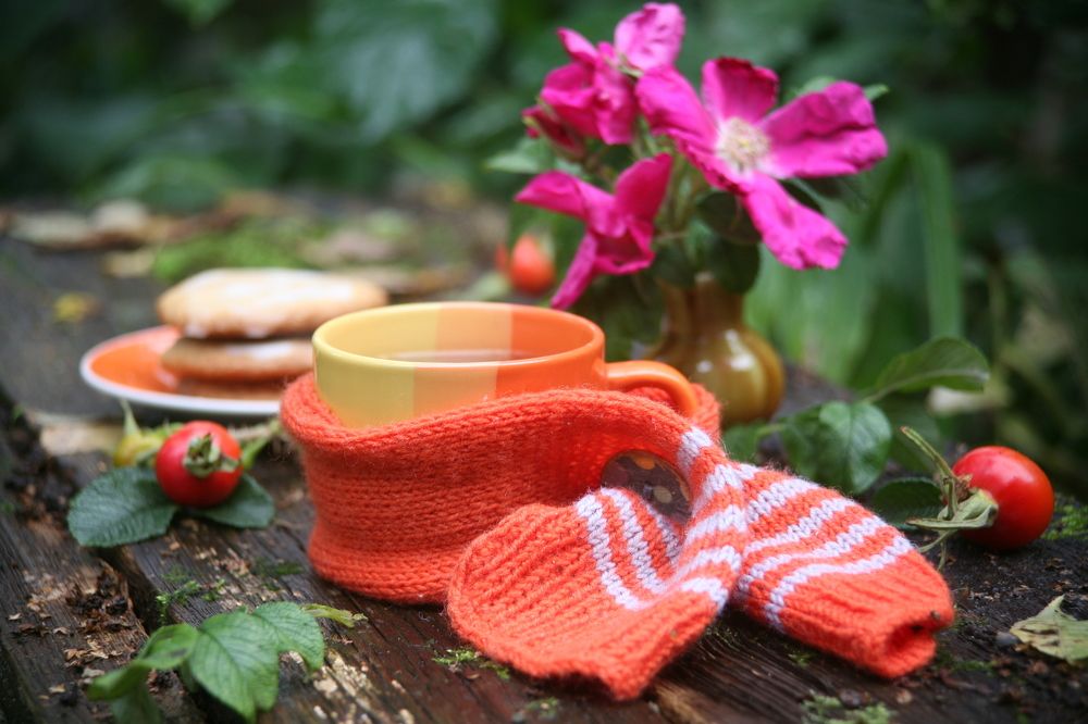 Островок тепла