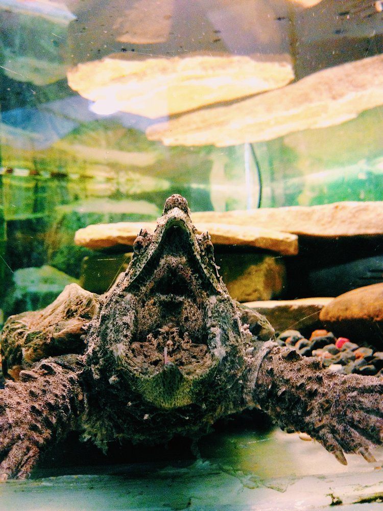 Photograph by Анастасия Козлова