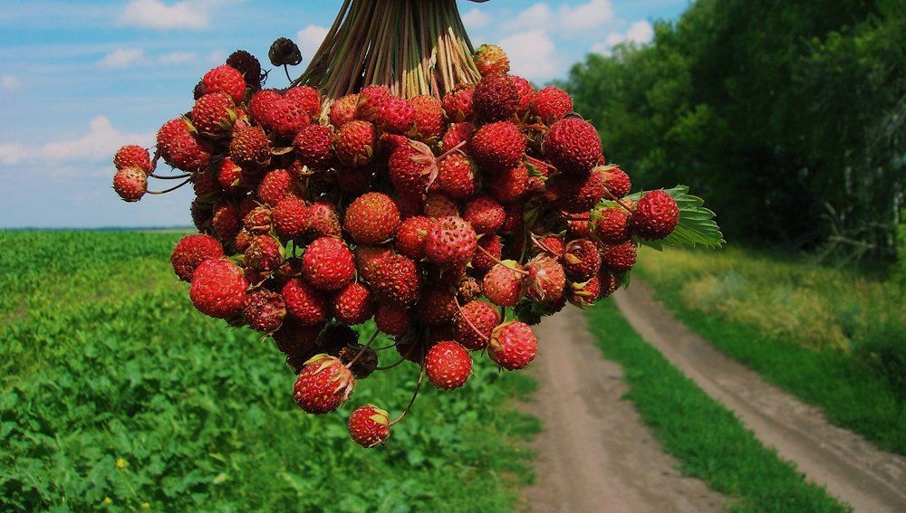 Photograph by Анастасия Козлова