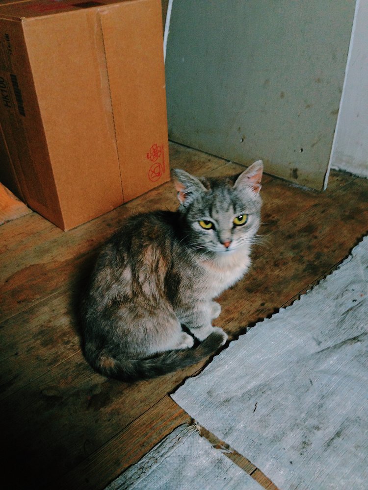 Photograph by Анастасия Козлова