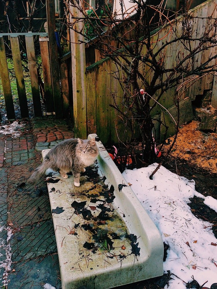 Photograph by Анастасия Козлова