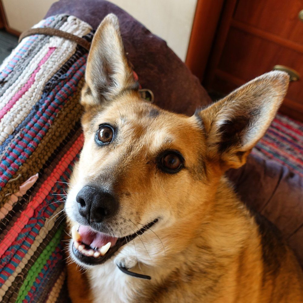 Photograph by Дмитрий Батагов