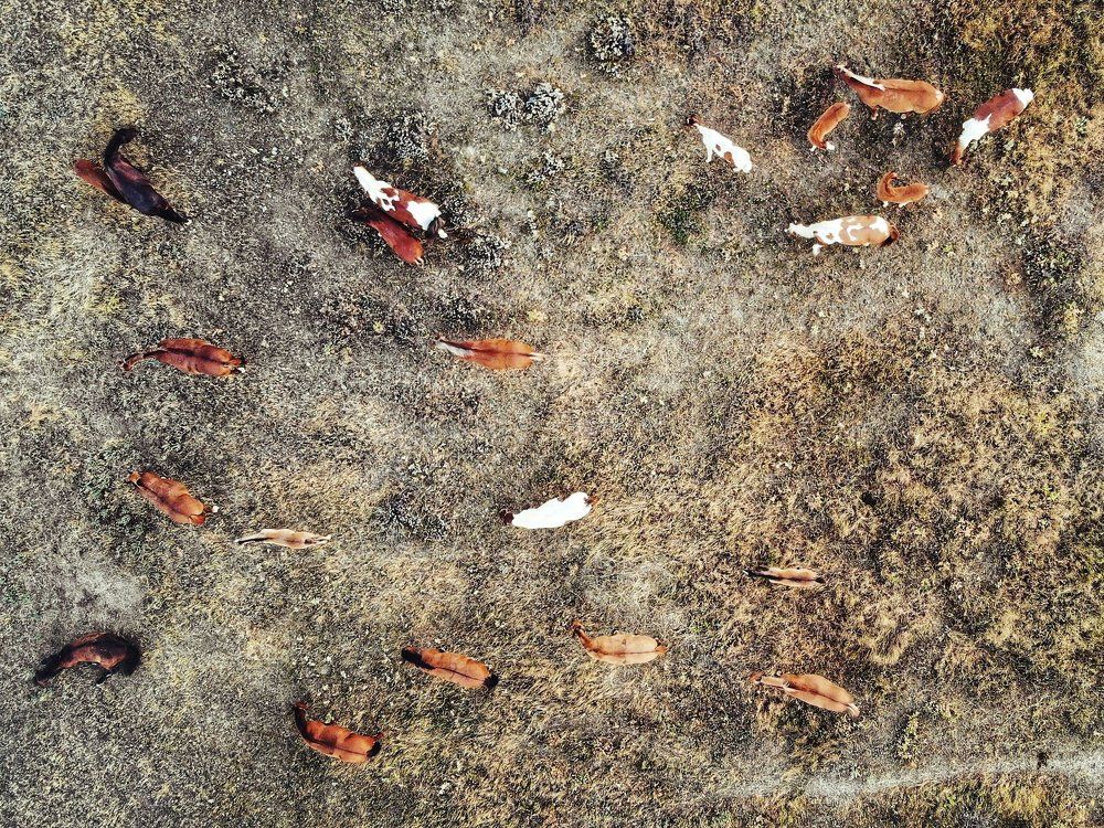 Photograph by Дмитрий Батагов