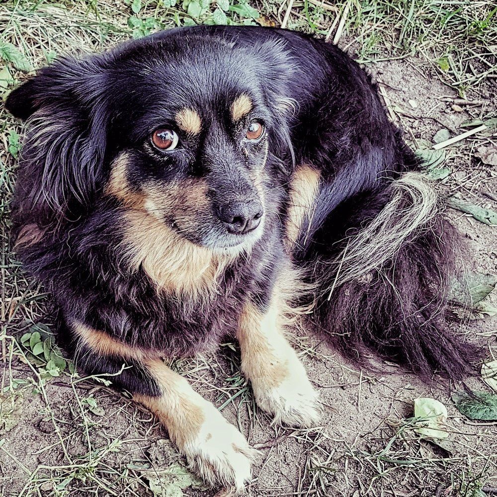 Photograph by Дмитрий Батагов