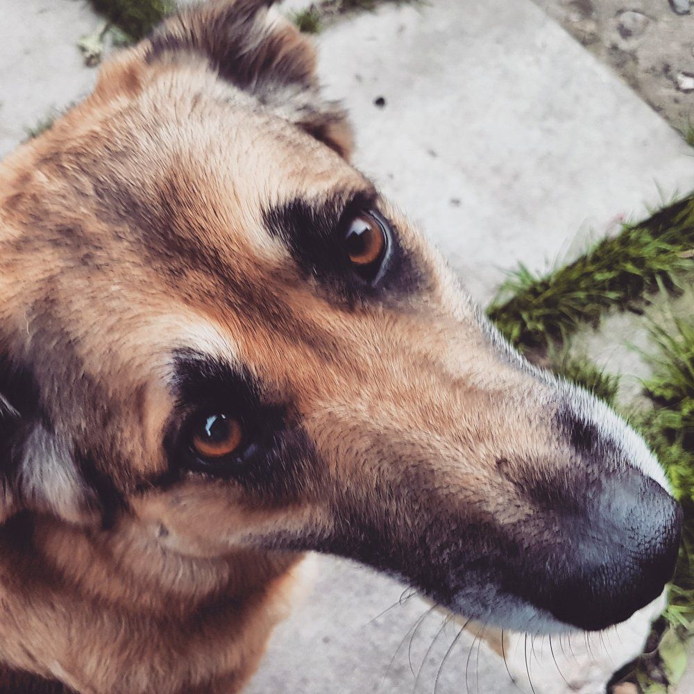 Photograph by Дмитрий Батагов