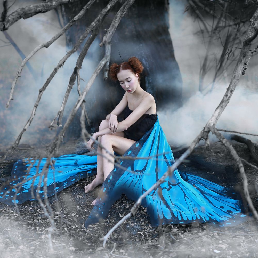 Бабочка / Butterfly