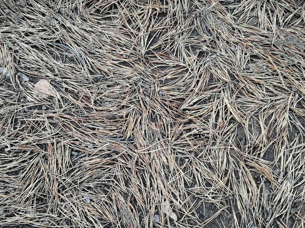 Проблема выбора