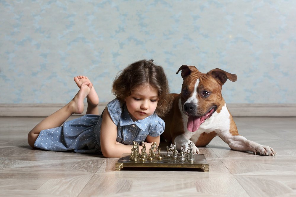 Сложный ход