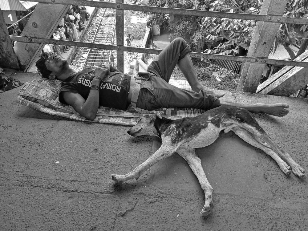 Sleeping with pet