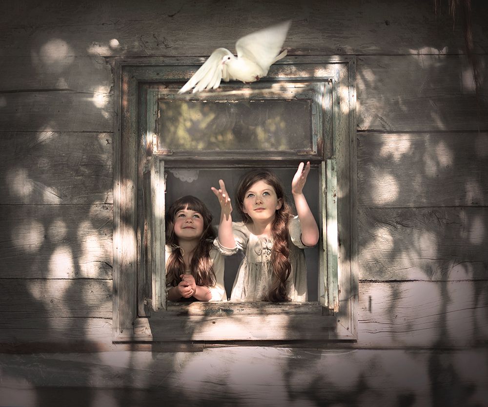 Лети, голубка!