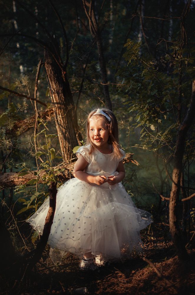 Волшебный лес