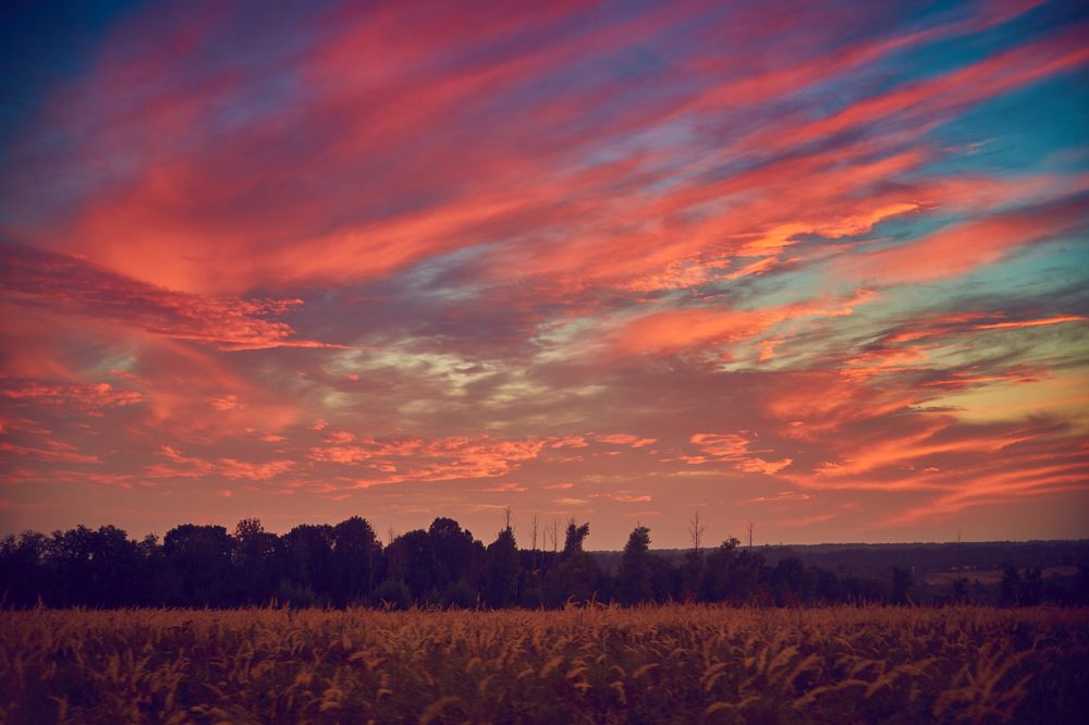 Курский закат