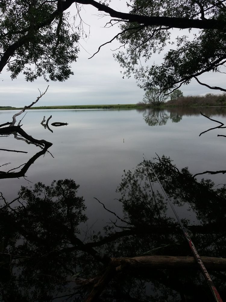 Тишина и покой.