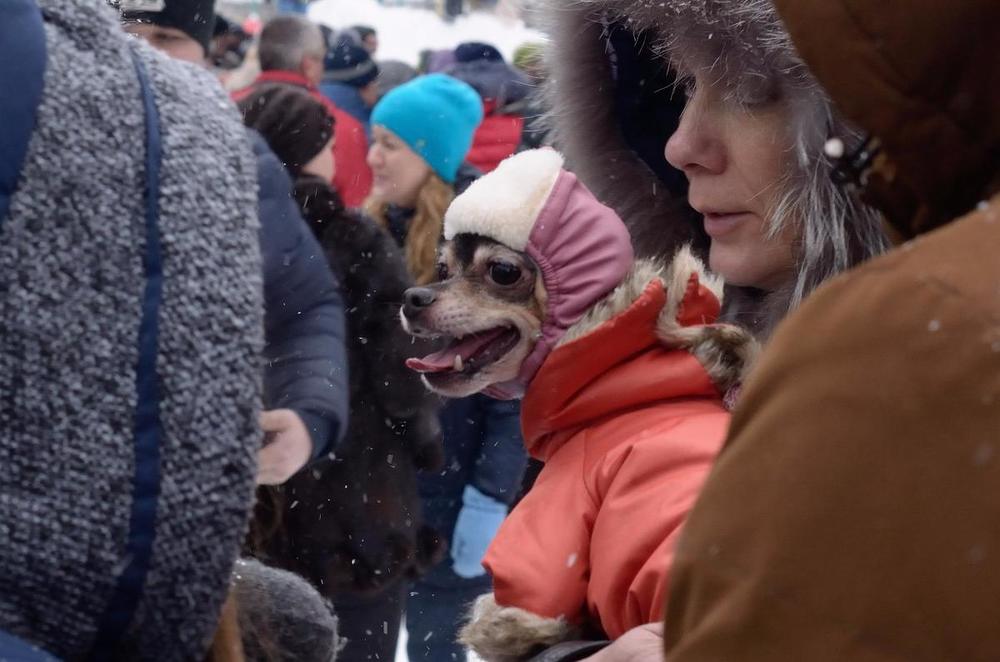 Photograph by Сергей Клапишевский