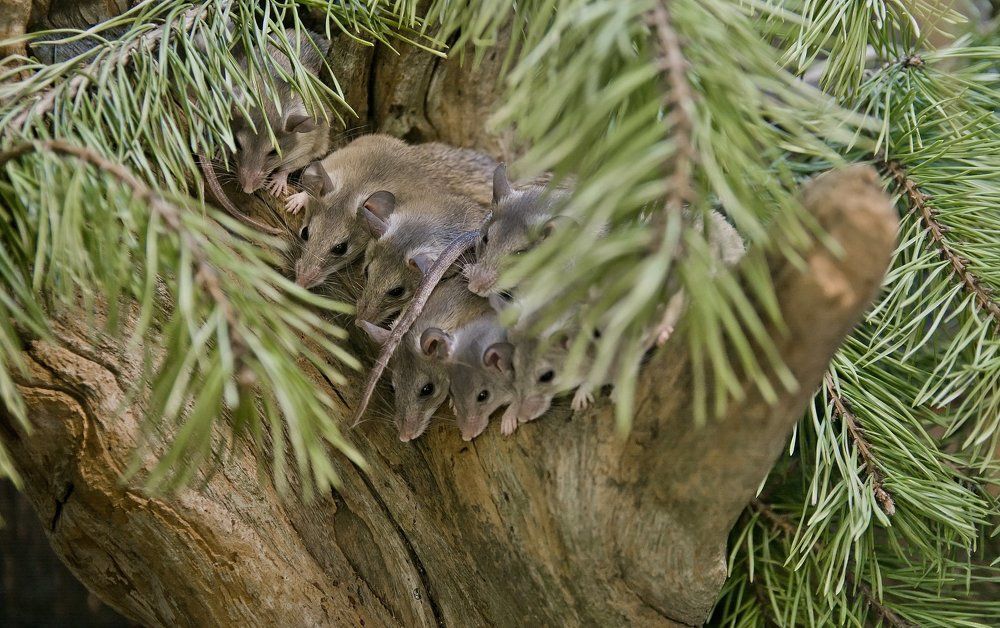 Семья на отдыхе.