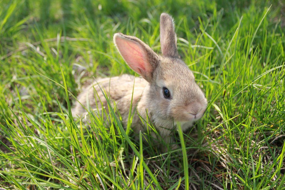 Photograph by Александр Фоменко