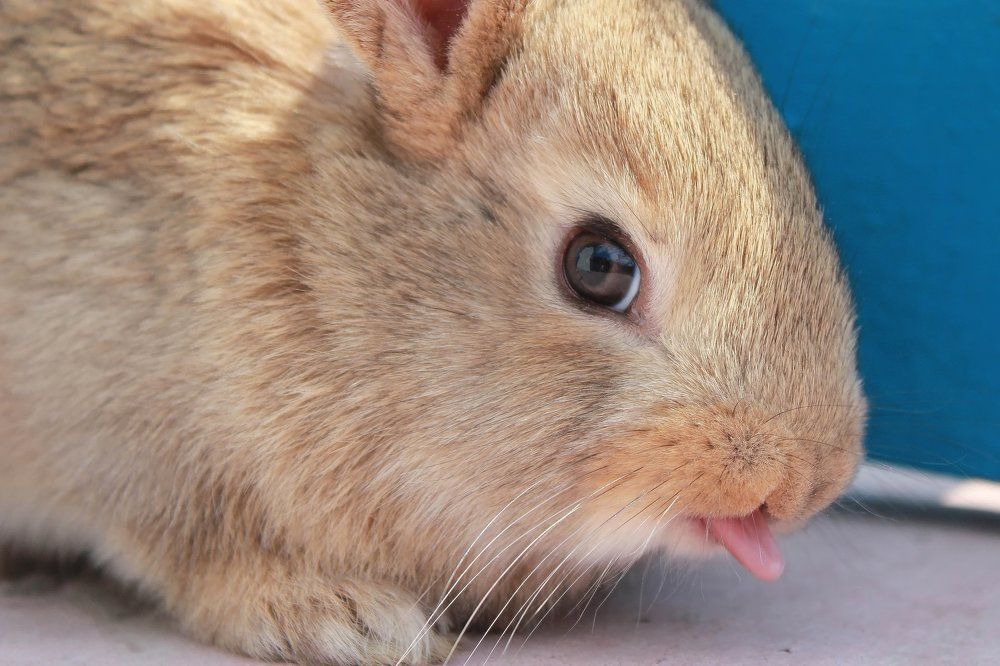 Photograph by Александр Фоменко