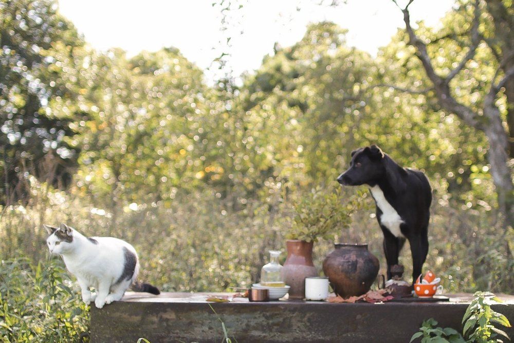 Суббота. Утро.