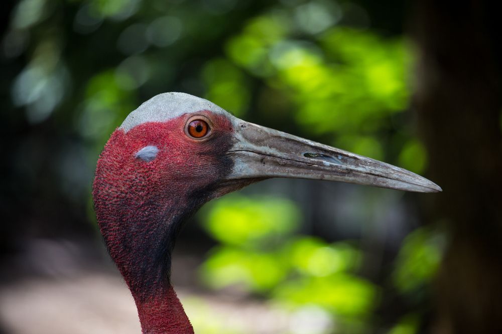 Photograph by Максим Пинчук