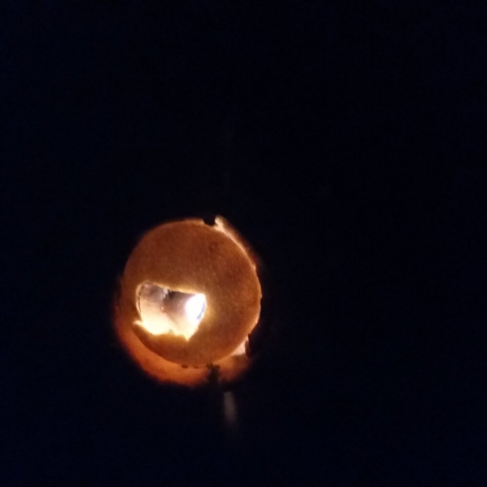 Brightness Experiement